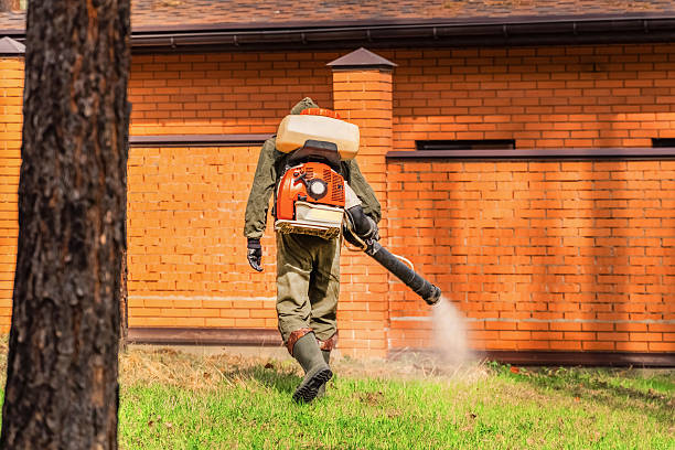 Trusted Termite Control service in Conyngham, PA - Nex Pest Control